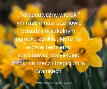 Pola Nadziei w Kaskach☀